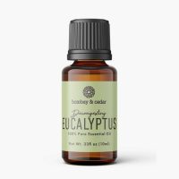 Eucalyptus essential oil 10ml aromatherapy bottle